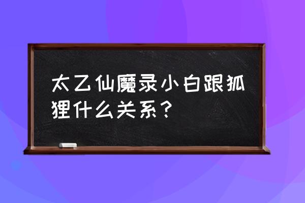 太乙仙魔录之灵飞纪小狐狸 太乙仙魔录小白跟狐狸什么关系？