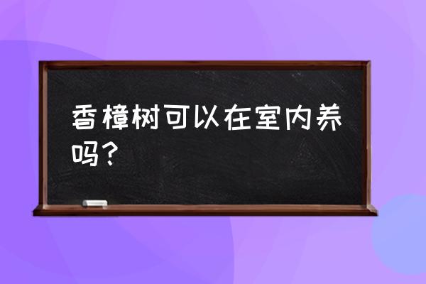 香樟兰亭是什么街道 香樟树可以在室内养吗？