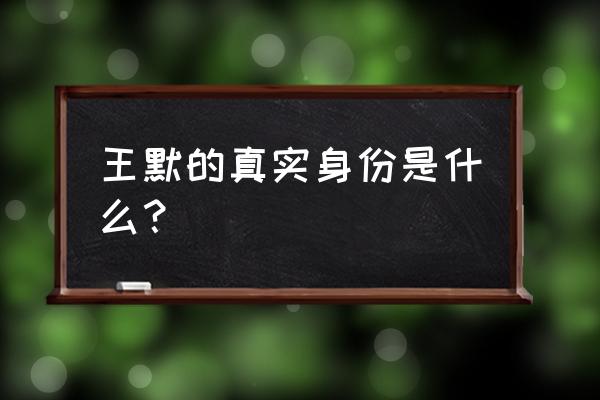 王默的另一个身份 王默的真实身份是什么？