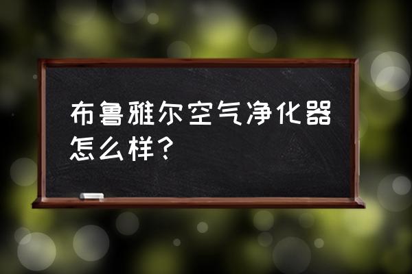 布鲁雅尔到底好不好 布鲁雅尔空气净化器怎么样？