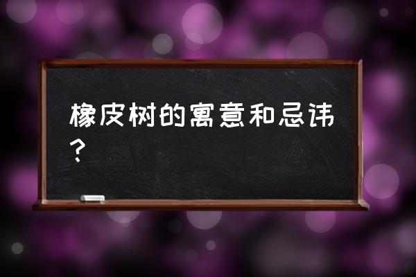 橡皮树的养殖作用及禁忌 橡皮树的寓意和忌讳？