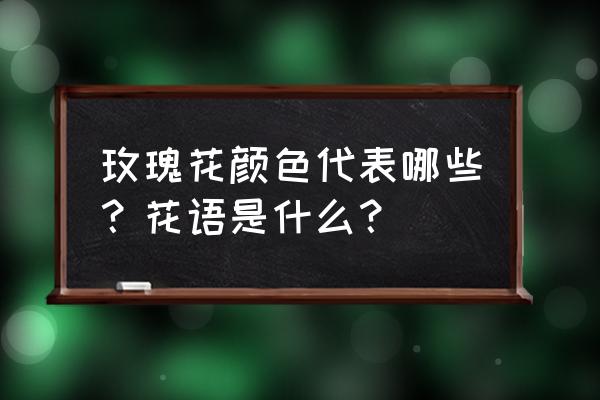 玫瑰花的含义和代表 玫瑰花颜色代表哪些？花语是什么？