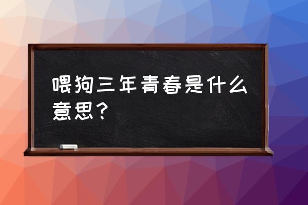 青春喂了狗代表什么 喂狗三年青春是什么意思？