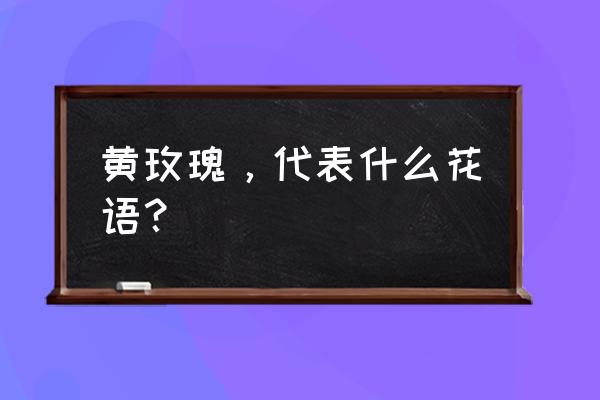 黄玫瑰花语的准确意思 黄玫瑰，代表什么花语？