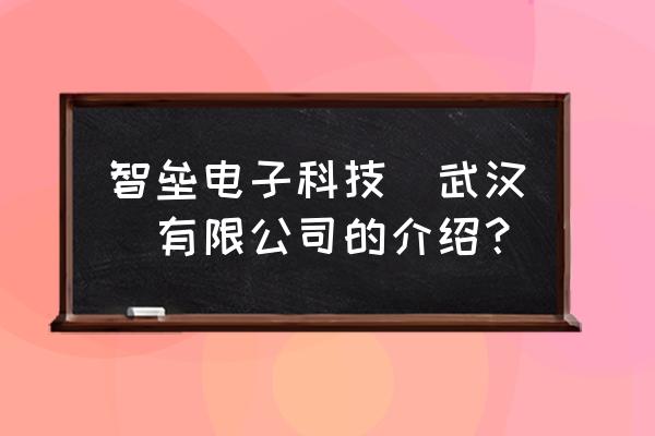 武汉光博会是干嘛的 智垒电子科技(武汉)有限公司的介绍？