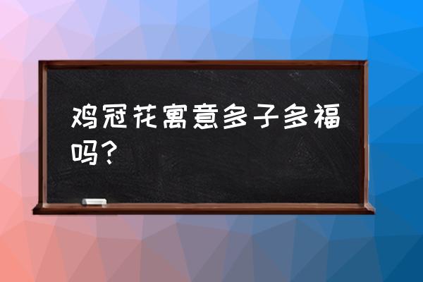 鸡冠花的寓意和象征 鸡冠花寓意多子多福吗？