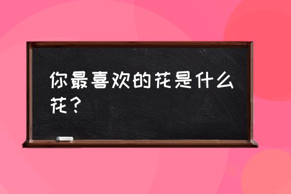 我最喜欢的一种花 你最喜欢的花是什么花？