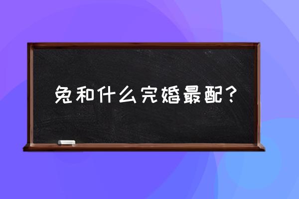 兔的最佳配偶属相 兔和什么完婚最配？