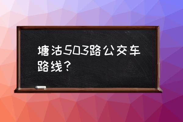 503公交车路线查询 塘沽503路公交车路线？