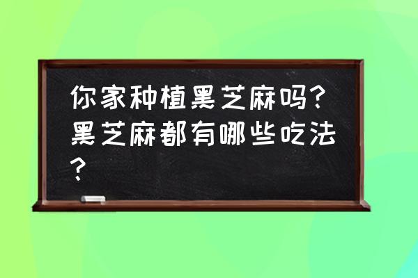 黑芝麻各种吃法大全 你家种植黑芝麻吗？黑芝麻都有哪些吃法？