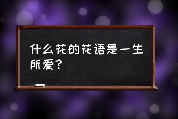 风铃草的爱情花语是什么 什么花的花语是一生所爱？