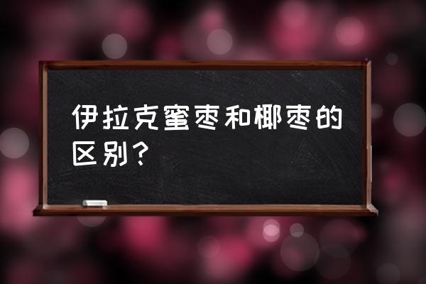 伊朗蜜枣的功效 伊拉克蜜枣和椰枣的区别？