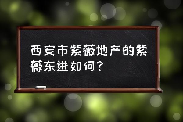 紫薇东进附近规划 西安市紫薇地产的紫薇东进如何？