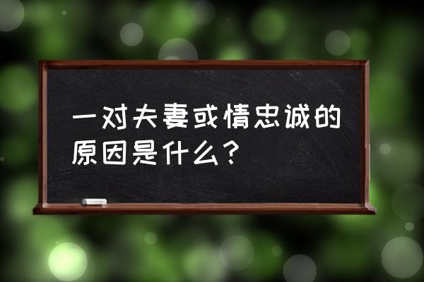 一对夫妻一对恋人 一对夫妻或情忠诚的原因是什么？