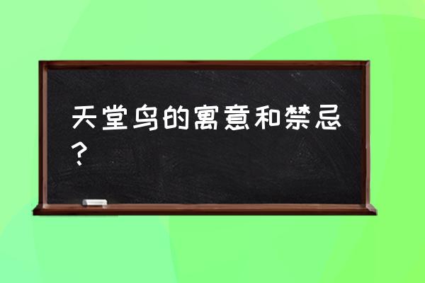 天堂鸟唯美花语 天堂鸟的寓意和禁忌？