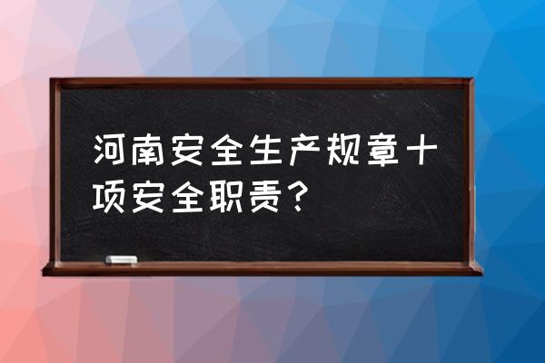 主要负责人安全职责十条 河南安全生产规章十项安全职责？