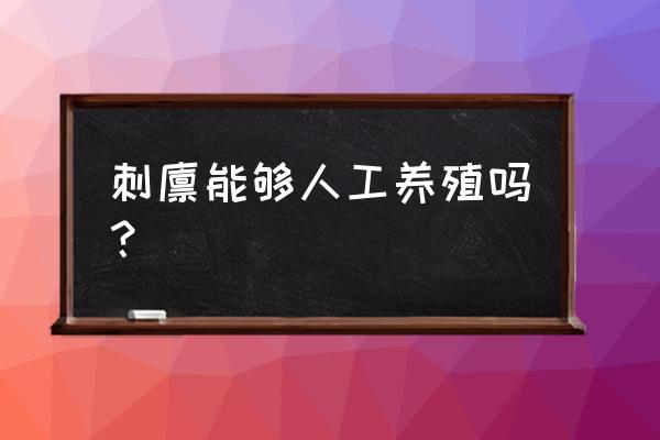 人工养殖刺猬 刺猬能够人工养殖吗？