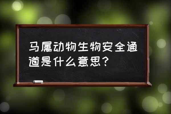 生物安全通道是什么意思 马属动物生物安全通道是什么意思？