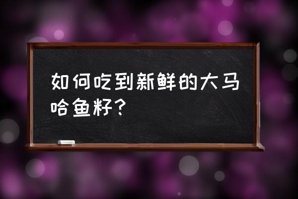 大马哈鱼籽的功效与作用 如何吃到新鲜的大马哈鱼籽？