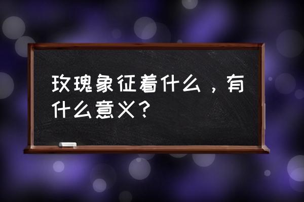 玫瑰花的寓意 玫瑰象征着什么，有什么意义？