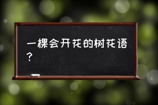 一棵会开花的树含义 一棵会开花的树花语？