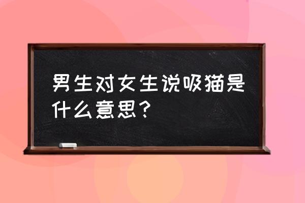 什么叫吸猫给我解释一下 男生对女生说吸猫是什么意思？