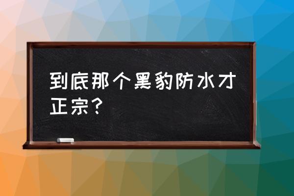 黑豹建材与黑豹防水 到底那个黑豹防水才正宗？