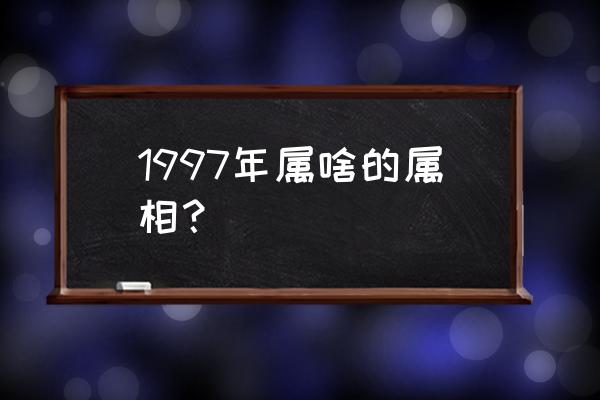 十二生肖1997年属什么 1997年属啥的属相？