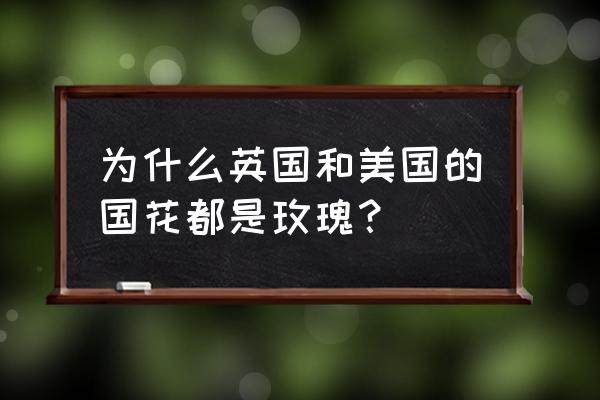 英国国花为什么是玫瑰 为什么英国和美国的国花都是玫瑰？