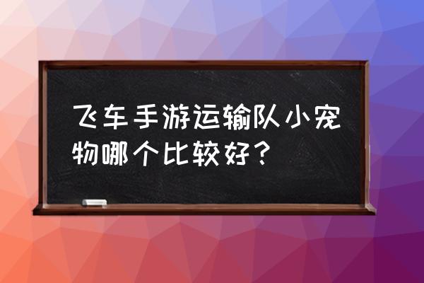 qq飞车手游宠物 飞车手游运输队小宠物哪个比较好？