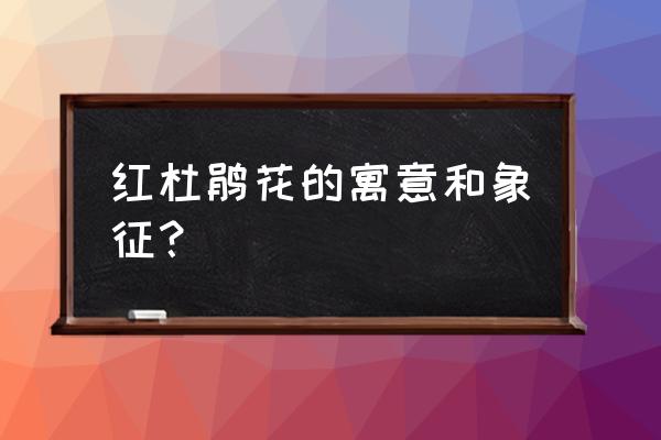 迎红杜鹃寓意 红杜鹃花的寓意和象征？