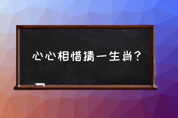 心心相印打一生肖 心心相惜猜一生肖？