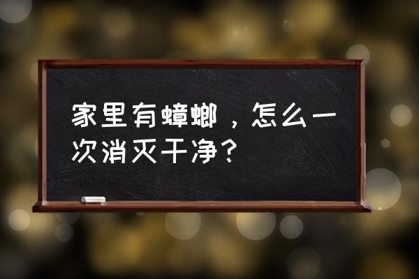 家里有蟑螂怎么能彻底消灭 家里有蟑螂，怎么一次消灭干净？