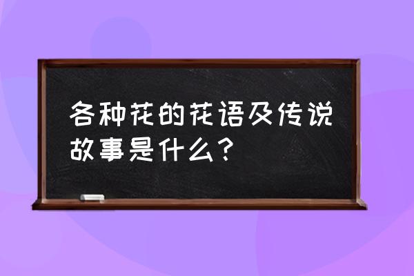 花的名称和花语 各种花的花语及传说故事是什么？