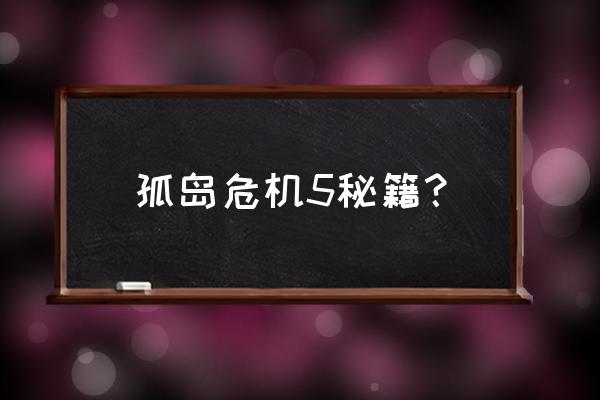 孤岛危机5攻略 孤岛危机5秘籍？