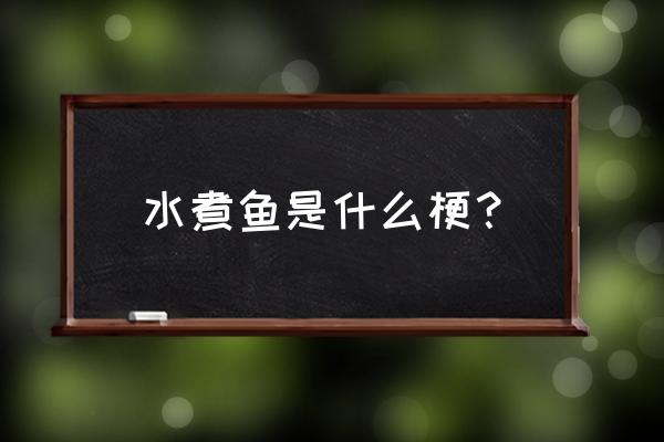 水煮鱼皇后老公 水煮鱼是什么梗？