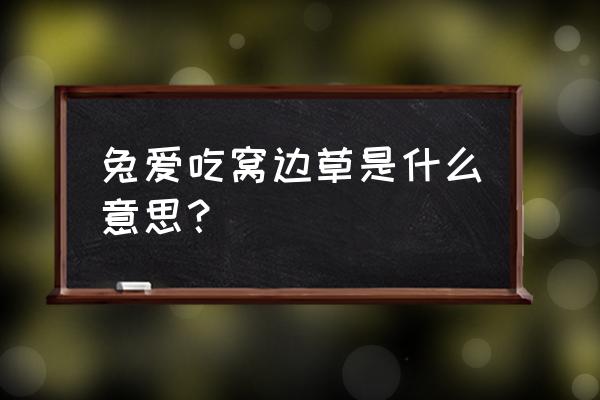 兔子吃了窝边草的道理 兔爱吃窝边草是什么意思？