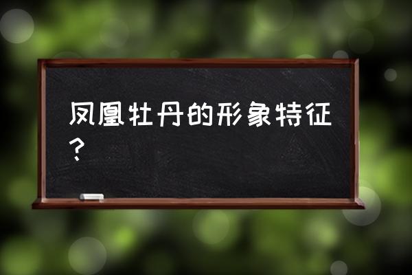 凤凰牡丹寓意和象征 凤凰牡丹的形象特征？