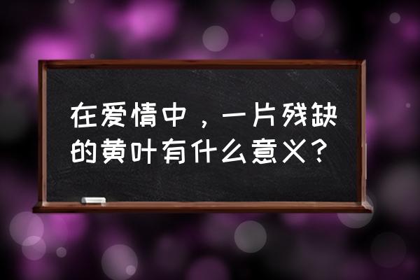 枫叶的爱情寓意 在爱情中，一片残缺的黄叶有什么意义？