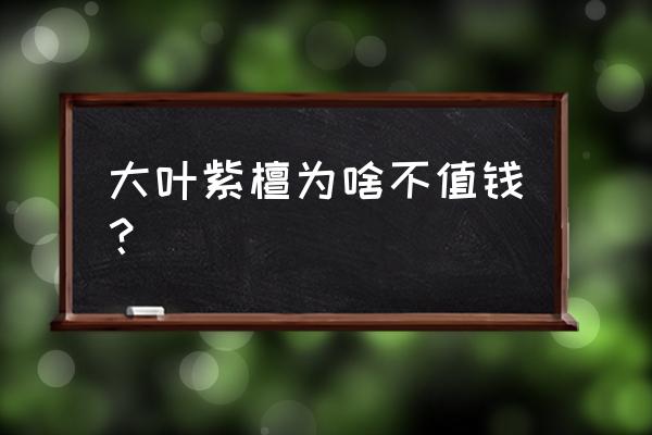 大叶紫檀好不好 大叶紫檀为啥不值钱？