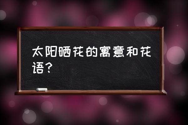 太阳花花语的意义 太阳晒花的寓意和花语？