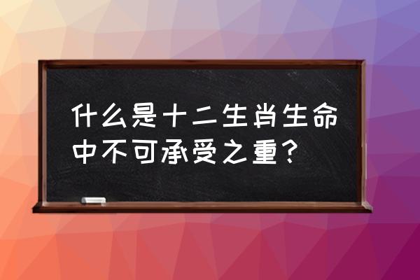 生命不可承受之重 什么是十二生肖生命中不可承受之重？