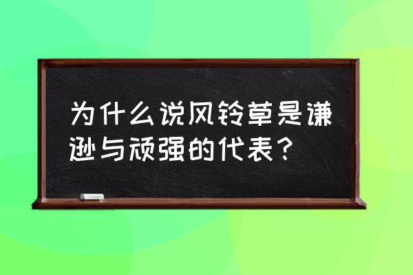 风铃草的花语和象征 为什么说风铃草是谦逊与顽强的代表？