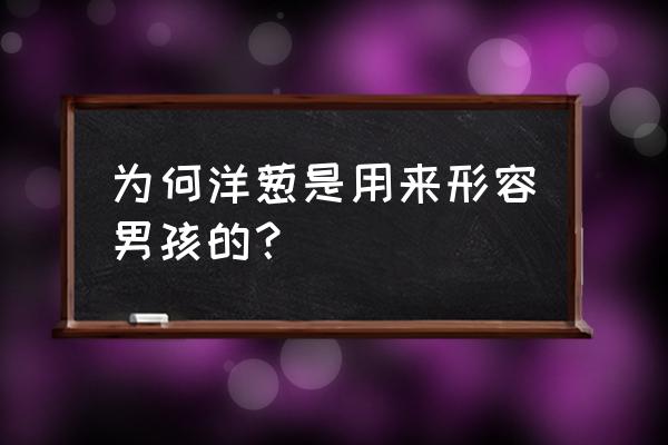 男人的心就像 为何洋葱是用来形容男孩的？