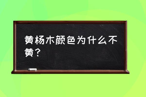 小叶黄杨木鉴别方法 黄杨木颜色为什么不黄？