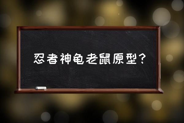 斯普林特大师 忍者神龟老鼠原型？