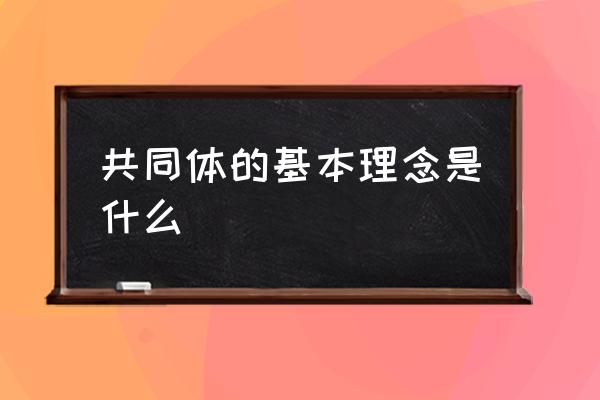 构建人类命运共同体的内涵 共同体的基本理念是什么