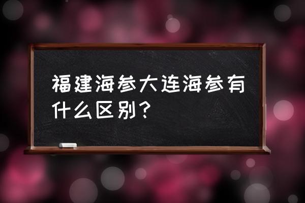 大连海参又被称为 福建海参大连海参有什么区别？