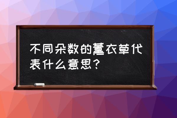 薰衣草花语是什么 不同朵数的薰衣草代表什么意思？