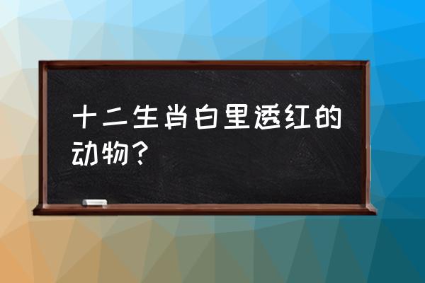 十二生肖白里透红 十二生肖白里透红的动物？